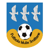 https://img.fredfoc.com/img/football/team/259a1106a33b56d2bb3c458a62ffa2ea.png